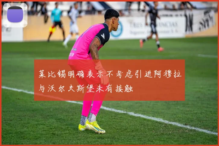 莱比锡明确表示不考虑引进阿穆拉与沃尔夫斯堡未有接触