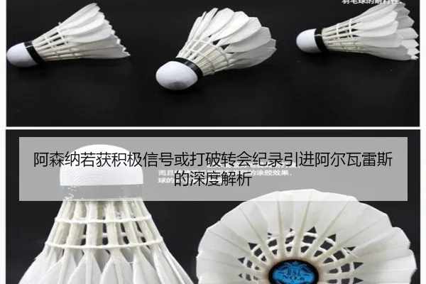阿森纳若获积极信号或打破转会纪录引进阿尔瓦雷斯的深度解析（milansports）