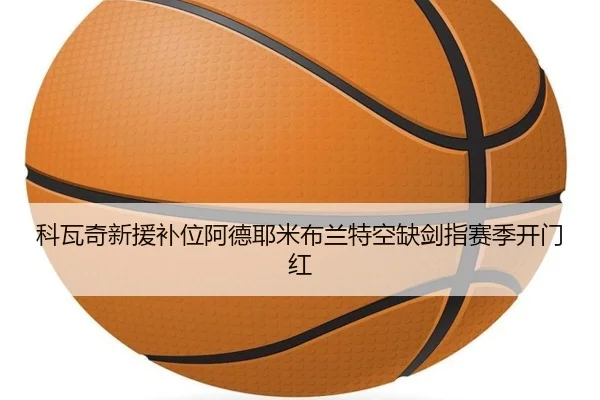 科瓦奇新援补位阿德耶米布兰特空缺剑指赛季开门红（milansports）